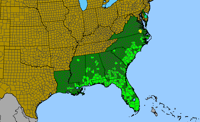 The range of Taxodium ascendens